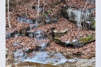 0 Harris Creek Drive, Ellijay, GA 30540 - Photo 25