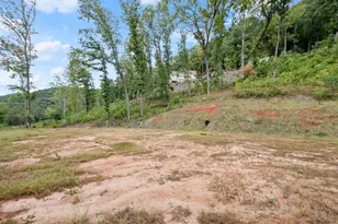 144 David Dr, Tiger, GA 30576 - Photo 43