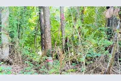 8 Sweetwater Bend, Villa Rica, GA 30180 - Photo 7