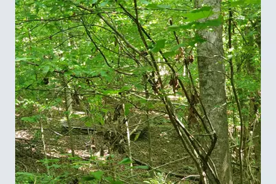 385 McClain Mountain Road, Jasper, GA 30143 - Photo 59