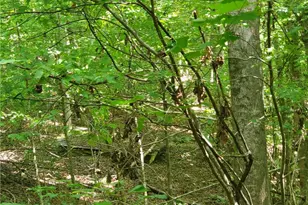 385 McClain Mountain Rd, Jasper, GA 30143 - Photo 59