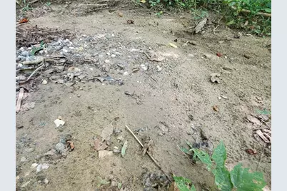 385 McClain Mountain Road, Jasper, GA 30143 - Photo 61