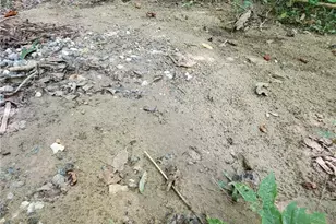 385 McClain Mountain Rd, Jasper, GA 30143 - Photo 61