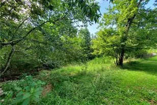 385 McClain Mountain Rd, Jasper, GA 30143 - Photo 41