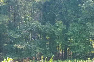 385 McClain Mountain Rd, Jasper, GA 30143 - Photo 51