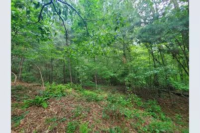 385 McClain Mountain Road, Jasper, GA 30143 - Photo 55