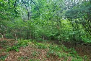 385 McClain Mountain Rd, Jasper, GA 30143 - Photo 55