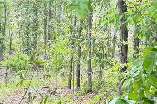 0 Hulsey Town Rd, Dallas, GA 30157 - Photo 1