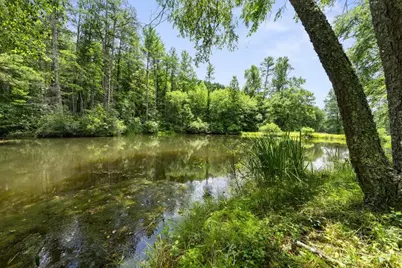 9883 Warwoman Road, Clayton, GA 30525 - Photo 73