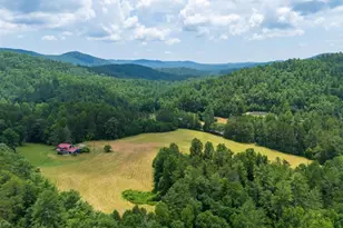 9883 Warwoman Rd, Clayton, GA 30525 - Photo 7