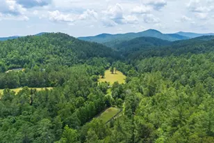 9883 Warwoman Rd, Clayton, GA 30525 - Photo 97