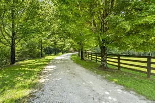 9883 Warwoman Rd, Clayton, GA 30525 - Photo 51