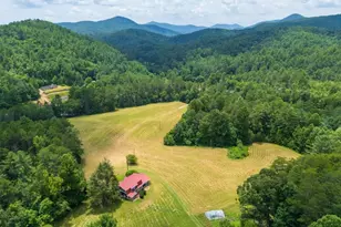 9883 Warwoman Rd, Clayton, GA 30525 - Photo 95