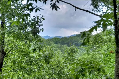 156 Dupont Drive, Blue Ridge, GA 30513 - Photo 3