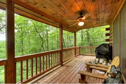 156 Dupont Drive, Blue Ridge, GA 30513 - Photo 17