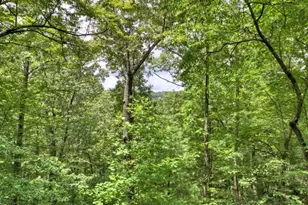 156 Dupont Drive, Blue Ridge, GA 30513 - Photo 19