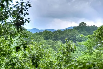 156 Dupont Drive, Blue Ridge, GA 30513 - Photo 21