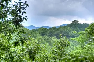 156 Dupont Drive, Blue Ridge, GA 30513 - Photo 21