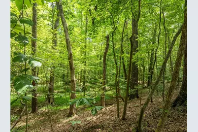 192 Saxon Court, Canton, GA 30114 - Photo 43