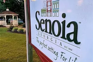 85 Bourbon St, Senoia, GA 30276 - Photo 31