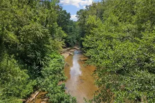 441 Pumpkinvine Rd, Acworth, GA 30101 - Photo 49