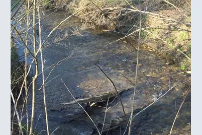 0 Gold Crest Drive, Dahlonega, GA 30533 - Photo 3