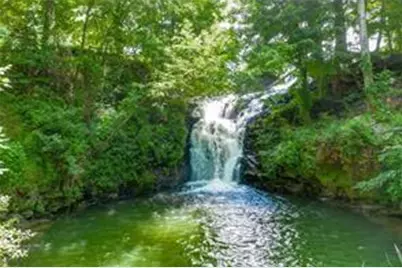 264 Fox Den Circle, Jasper, GA 30143 - Photo 53