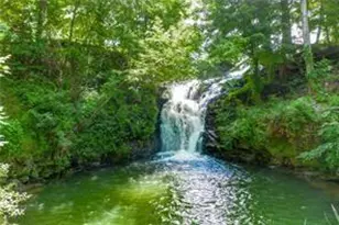 264 Fox Den Cir, Jasper, GA 30143 - Photo 53