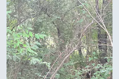 00 Lewis Road, Cartersville, GA 30121 - Photo 5