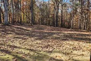 128 Ivey Trace Ct, Pendergrass, GA 30567 - Photo 19