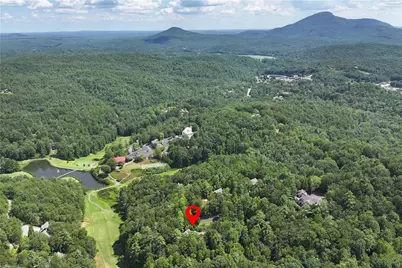276 Zeppelin Strasse, Helen, GA 30545 - Photo 49