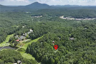 276 Zeppelin Strasse, Helen, GA 30545 - Photo 47