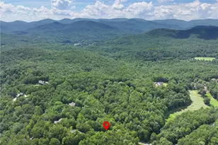 276 Zeppelin Strasse, Helen, GA 30545 - Photo 51