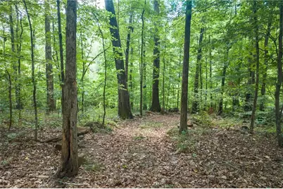 1345 Chandler Road, Lawrenceville, GA 30045 - Photo 85