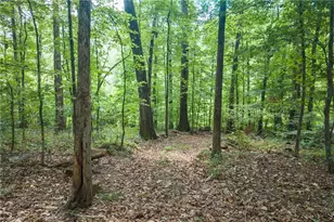 1345 Chandler Rd, Lawrenceville, GA 30045 - Photo 85