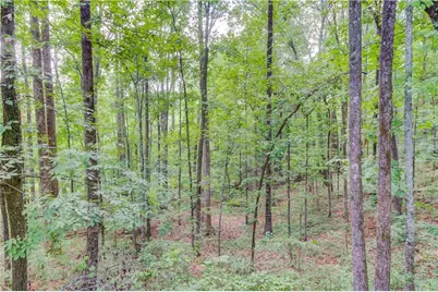 1345 Chandler Road, Lawrenceville, GA 30045 - Photo 83