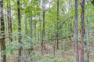 1345 Chandler Rd, Lawrenceville, GA 30045 - Photo 83