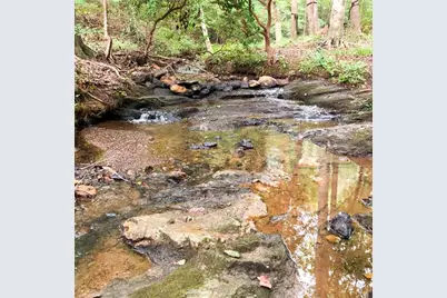 3060 Cypress Cove, Ball Ground, GA 30107 - Photo 37