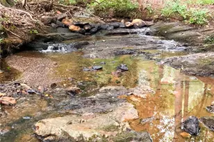 3060 Cypress Cove, Ball Ground, GA 30107 - Photo 37