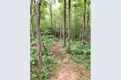 3060 Cypress Cove, Ball Ground, GA 30107 - Photo 35