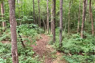 3060 Cypress Cove, Ball Ground, GA 30107 - Photo 35