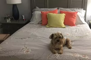 941 Pike Forest Dr, Lawrenceville, GA 30045 - Photo 43