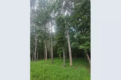 6147 Little Ridge Road, Acworth, GA 30102 - Photo 1