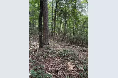 680 Fouche Gap Road NW, Rome, GA 30165 - Photo 9