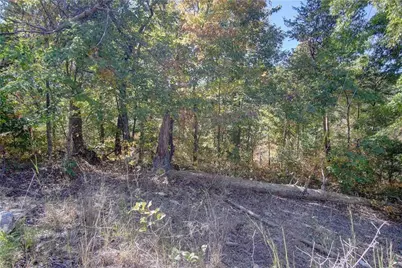 169 Jasmine Drive NE, Ranger, GA 30734 - Photo 33