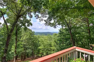 213 S View Trail, Jasper, GA 30143 - Photo 35