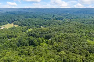 1044 Hutchings Mountain Rd, Rockmart, GA 30153 - Photo 135