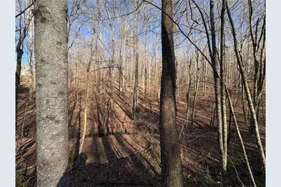 0 Gold View Drive, Dahlonega, GA 30533 - Photo 11