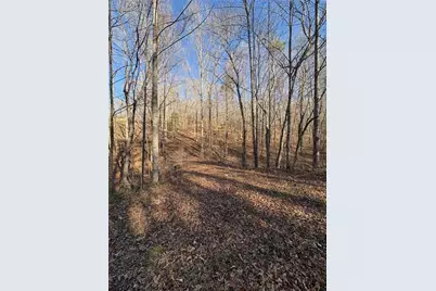 0 Gold View Drive, Dahlonega, GA 30533 - Photo 7