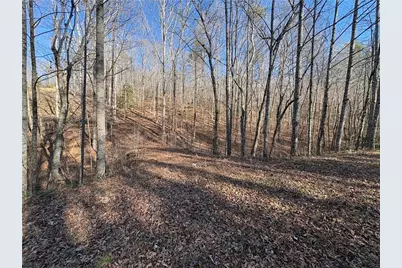 0 Gold View Drive, Dahlonega, GA 30533 - Photo 9